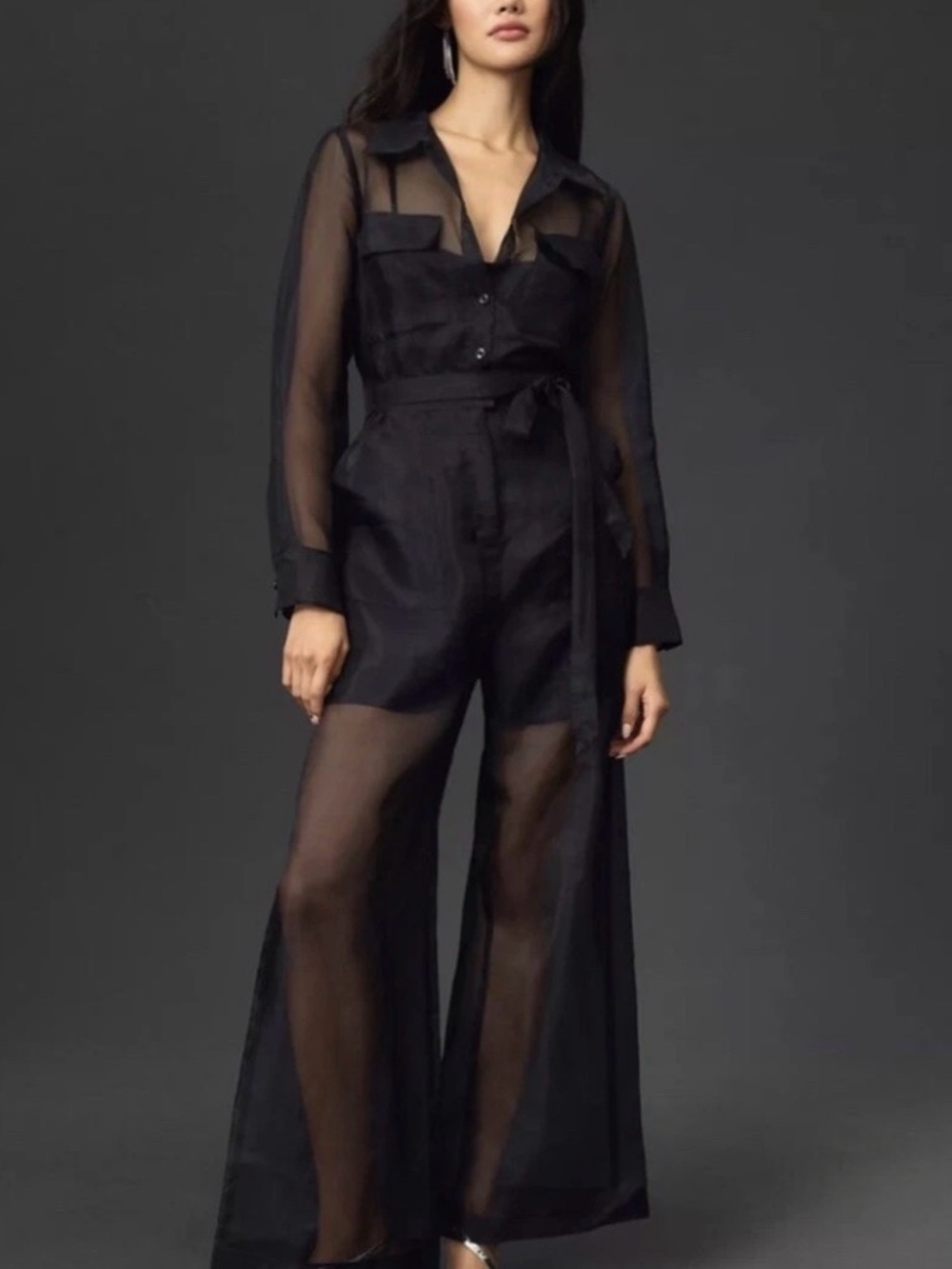 Anthropologie Sheer Black Wide-Leg Jumpsuit NWT - 0